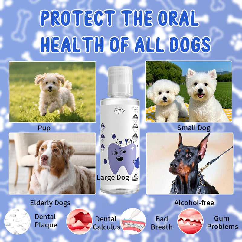 2 PCS PawBright Dental Plus,Natural Flavorless Teeth Cleaning Mouthwash to Fight Tartar,Promote Healthy Gums & Freshen Breath,Easy Daily Use for all Pet