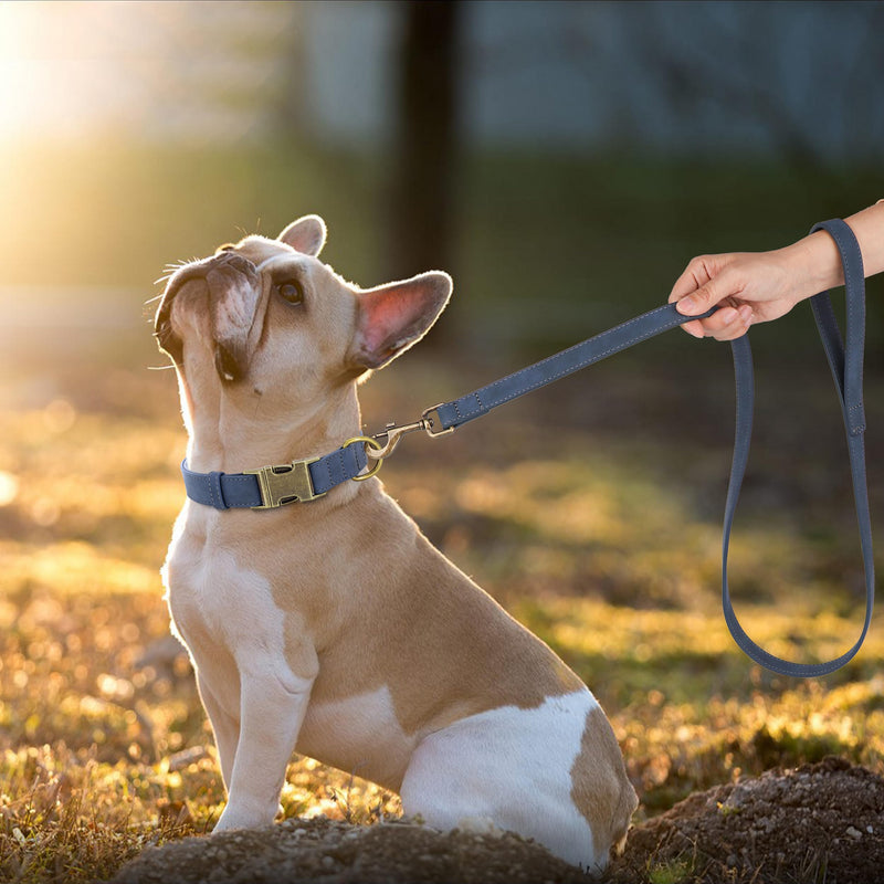 Didog Soft Leather Dog Collar, Durable Heavy Duty Dog Collars with Quick Release Metal Buckle, Adjustable Dog Collar Leather for Large Medium Dogs, Blue, L L：Fit 15-23" Neck - BeesActive Australia