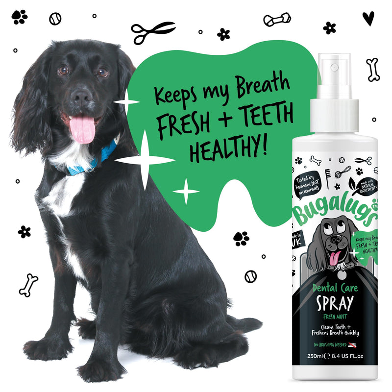 BUGALUGS Dog Breath Freshener Dental Care Dog Spray. Clean Teeth, Healthy Gums & Fresh Breath - Natural Dog plaque remover & tartar remover for teeth. No Brushing Needed (Dog 250ml Spray) 250 ml (Pack of 1)