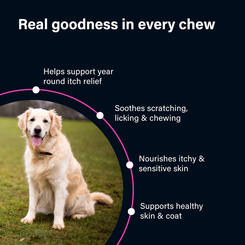 GOMUTTS All Itch and Immunity Treats for Dogs (90 Soft Chews), Anti Itch for Dogs, Help Soothe Itchy Paws, Eyes, Ears, Skin - Itching, Licking, Scratching, Daily Immune Support for All Breeds All Itch & Immunity