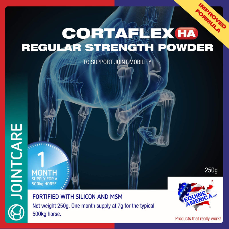 Equine America Cortaflex Regular Strength Powder | Premium Ready To Use Horse & Pony Supplement | Comprehensive Support For Joints & Mobility | 250g 250 g (Pack of 1)