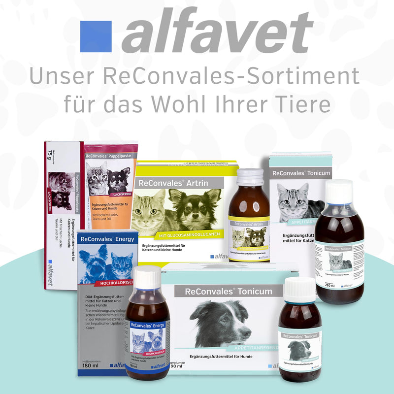 Alfavet ReConvales Power, supplementary food for dogs and cats, poplar paste for underweight, tube 140g 140 g single - BeesActive Australia