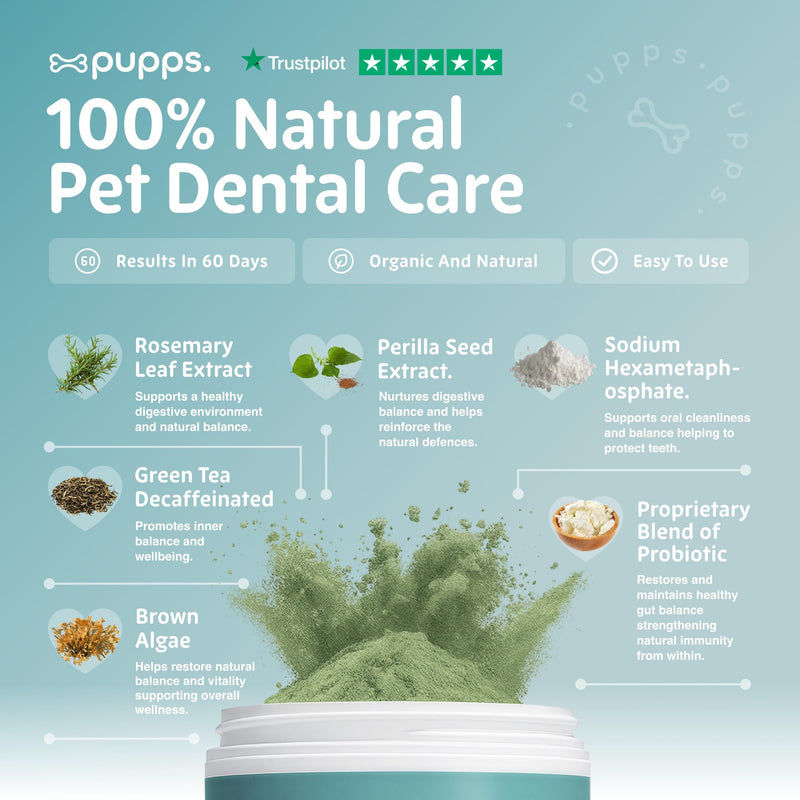 Pupps Dental Powder for Dogs 90g – Plaque & Tartar Support | Freshens Breath Naturally | Toothpaste & Toothbrush Alternative | Just Sprinkle on Food | Vet Approved, UK Made