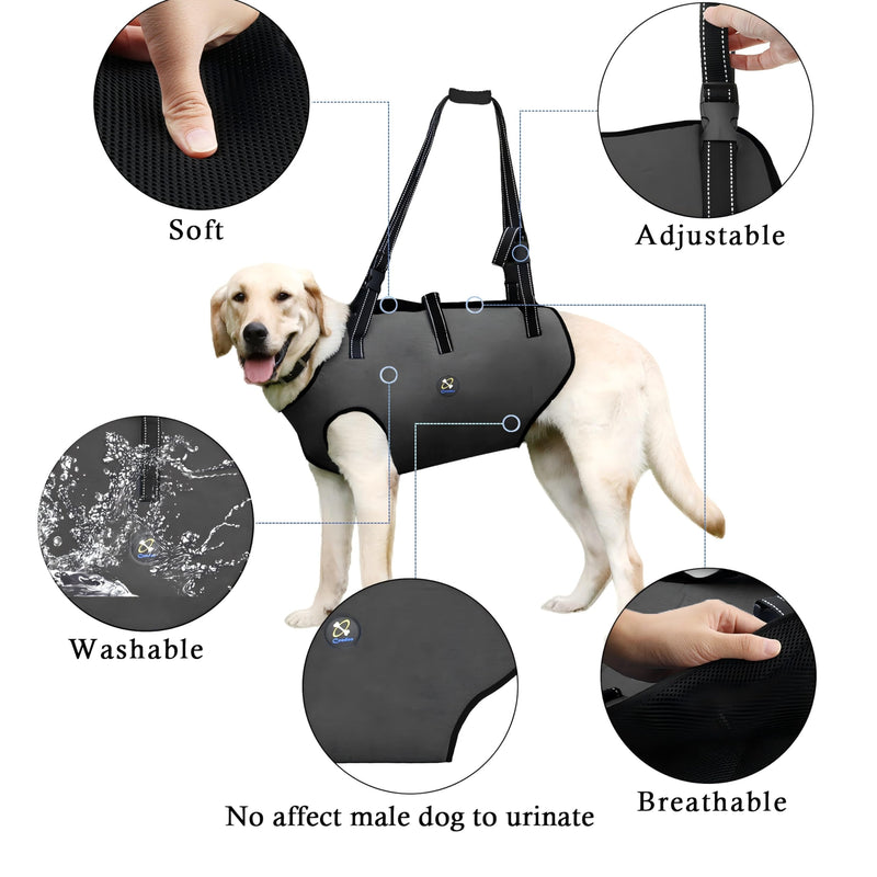Coodeo Dog Lift Harness, Pet Support & Rehabilitation Sling Lift Adjustable Padded Breathable Straps for Old, Disabled, Joint Injuries, Arthritis, Loss of Stability Dogs Walk (Grey, M) Medium Grey - BeesActive Australia