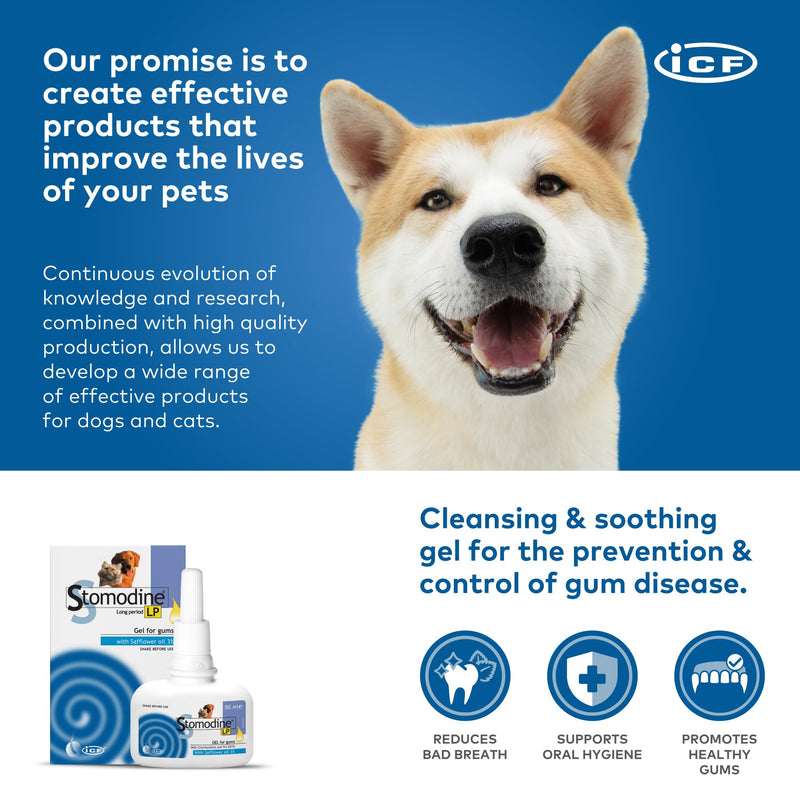 ICF | Stomodine Long Period Cat & Dog Toothpaste Gel for Pets' Oral Hygiene Gum Health | Bad Breath Meat Flavoured | 50 ml