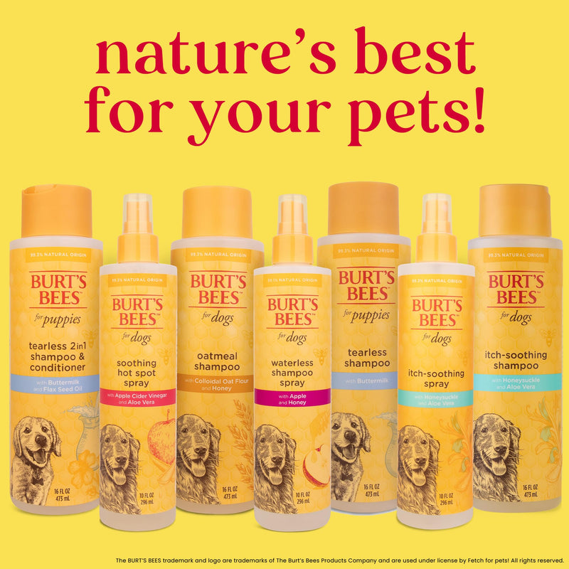 Burt's Bees for Pets Itch Soothing Shampoo with Honeysuckle, 95% Natural Origin Formulas, Dog Shampoo for Itchy Dogs, Dog Shampoo Itchy Skin Relief, 16 oz Unscented 16 Fl Oz (Pack of 1) - PawsPlanet Australia