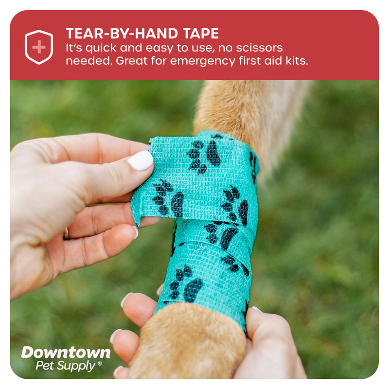 Cohesive Vet Wrap for Dogs, Self Adhesive Bandages in Bulk, Pet Cat Wound Care, Gauss Bandage for Horses by Downtown Pet Supply (Rainbow Claw, 10 Pack) Rainbow Claw - BeesActive Australia