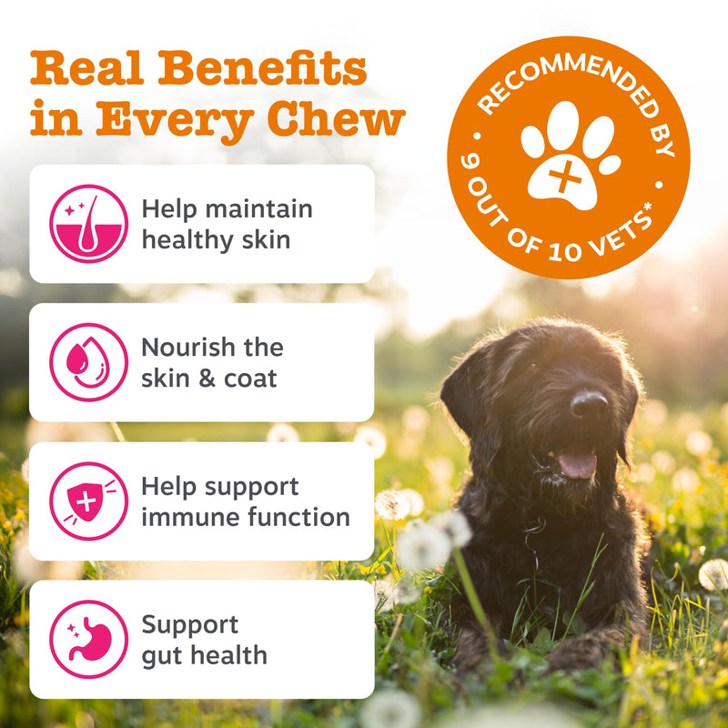Zesty Paws Itch & Immunity Chews for Dogs | Soothes Skin, Paws & Ears from Licking & Scratching, Helps Immune Function, Skin & Gut Health | Contains Salmon Oil & Probiotics | Daily Use | 90 Chews