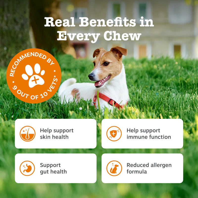Zesty Paws Aller-Immune Chews for Dogs | Supports Immune Function, Helps Gut, Skin & Coat Health, For Itchy, Dry Skin | Contains Salmon Oil, Prebiotics, Probiotics, Vitamin A | Daily Use | 90 Chews Adult