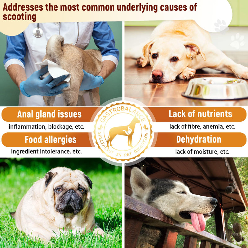 dog treats to stop scooting – Effective dog scoot treatment – Natural remedy for itching dogs (Bacon flavour) Bacon flavour
