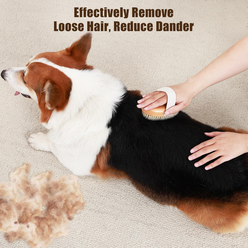 Soft Boar Bristle Pet Palm Brush for Short Haired Dogs and Cats with Band, Reduce Shedding, Ergonomic Dog Brush, Easy to Hold and Reduces Stress On Your Wrist | Ideal for Daily Grooming Wood - BeesActive Australia