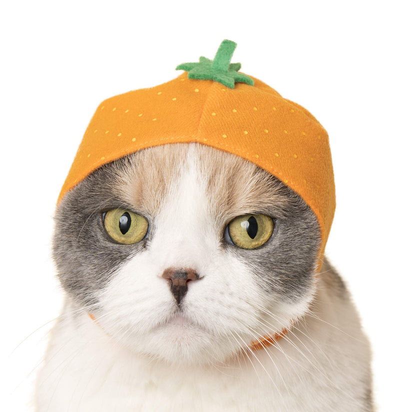 Kitan Club Cat Cap - Pet Hat Blind Box Includes 1 of 6 Cute Styles - Soft, Comfortable - Authentic Japanese Kawaii Design - Animal-Safe Materials, Premium Quality (Fruit) - BeesActive Australia