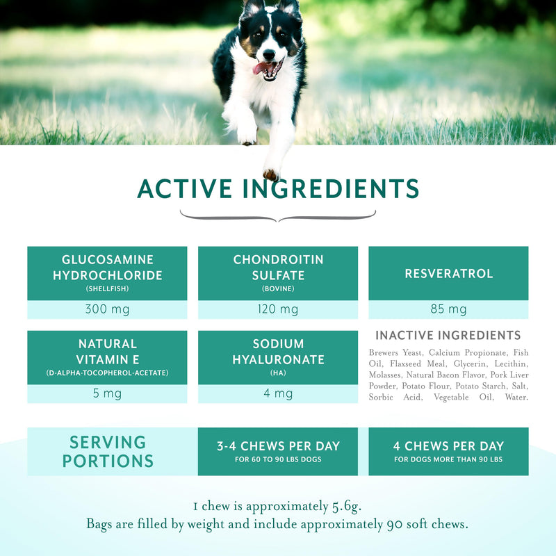 Resveratrol Chews Dog Supplement Bacon Flavor, Large Breed | Hip and Joint Support, Formulated with Glucosamine, Chondroitin, Trans-Resveratrol, Natural Vitamin E, and Hyaluronic Acid Large Breed (1 Bag)