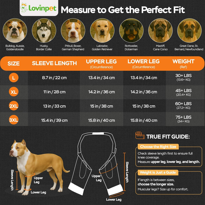 LovinPet Front Leg Sleeves for Medium and Large Dogs, 4-Way Stretch Elbow Protection, Anti-Lick Recovery, Warmth and Callus Prevention, Pair, Dinosaur Print, Orange Green,XXL Green Orange XX-Large