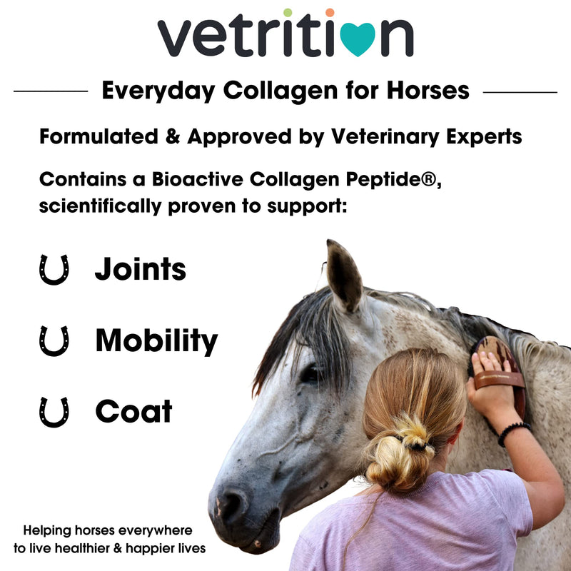 Everyday Collagen Powder for Horses, Bioactive Equine Collagen Peptide Powder, Vet Approved Horse Advanced Joint Supplement for Mobility, Skin & Muscle, All Breeds and Ages (750g)