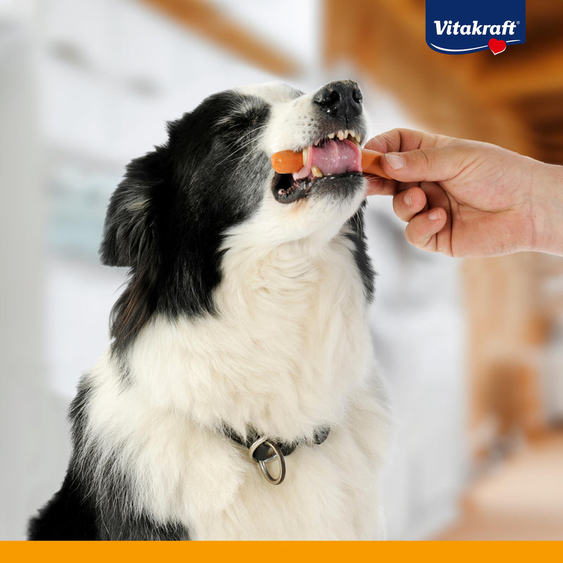 Vitakraft Dog Minis, grain-free dog treats, sausages, reward for in between meals, with poultry, reduced spice, in a resealable container, without added sugar (1x 120g) sausages 12 pieces - BeesActive Australia