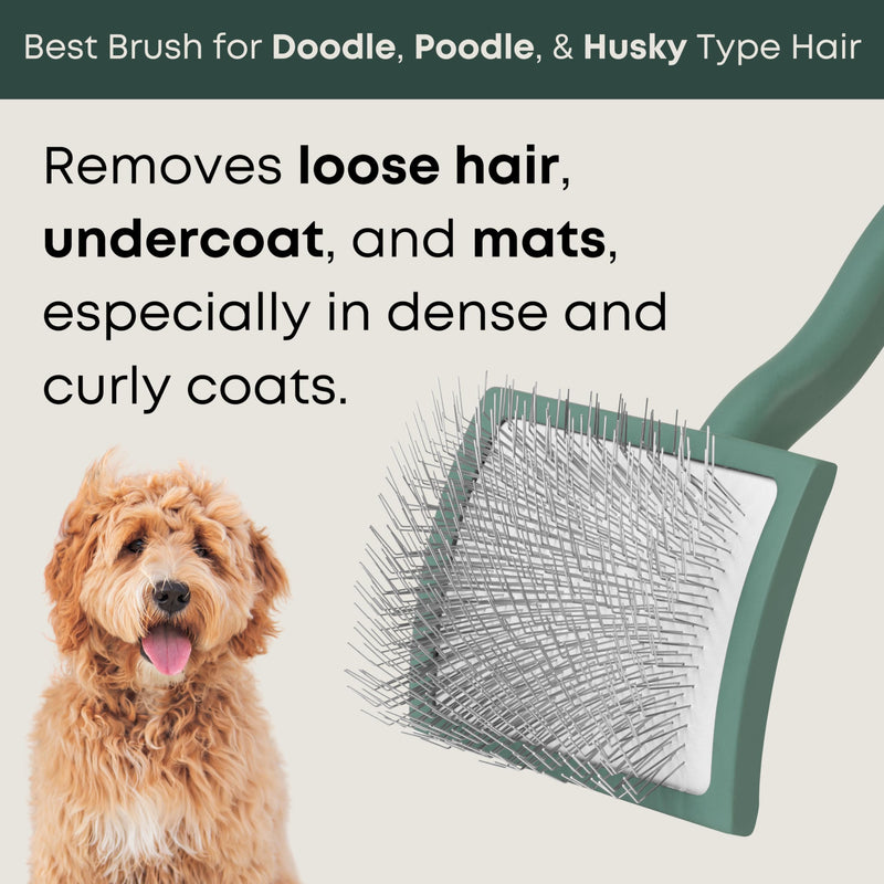 Doodle Brush for Goldendoodle, Poodle, and Labradoodle Coats - Best Slicker Dog Brush for Wavy & Curly Hair - Detangle, Brush, & Fluff Like a Pro - Golden Doodle Must Haves by Freshly Bailey - BeesActive Australia