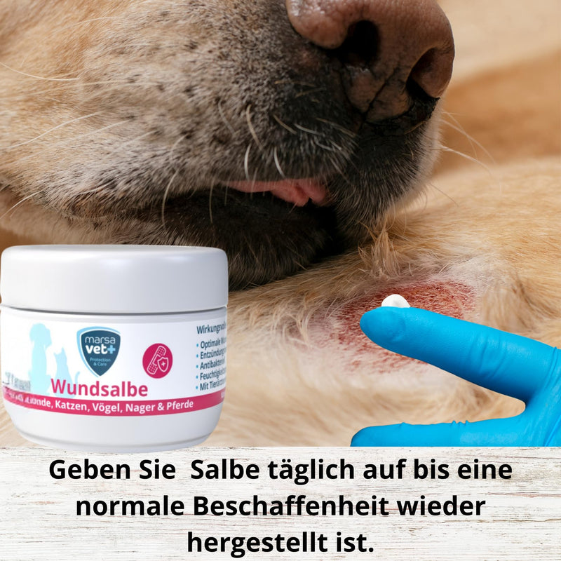 Marsavet+ 30ml wound ointment for dogs, cats, birds, rodents, horses and more. Zinc, propolis, hyaluronic acid and D-panthenol - promotes healing and prevents skin inflammation. Premium quality. - BeesActive Australia