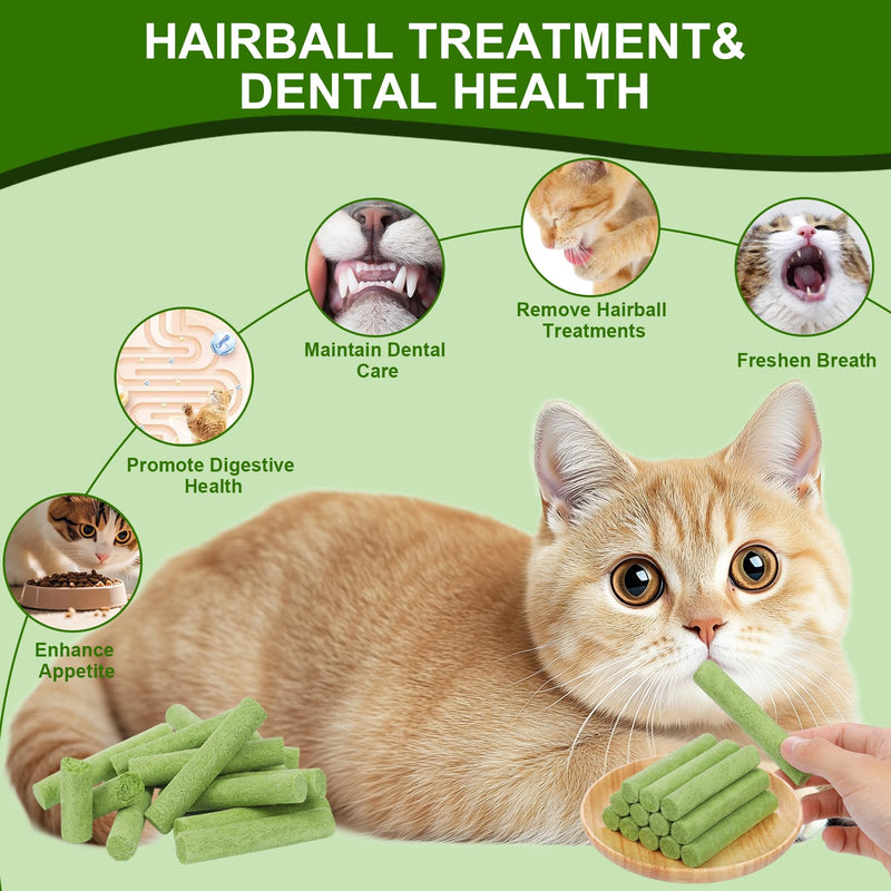 110g Cat Grass Sticks for Indoor Cats, Natural Freeze-Dried Treats, Hairball Treatment, Edible Chew Toy Snack for Teething & Hairball Removal 3.88 Ounce (Pack of 1)