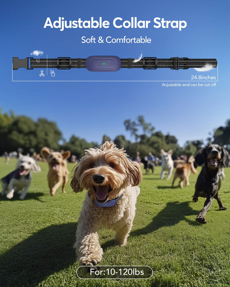 Dog Shock Collar with Remote Control - [2024release] Training Collar IPX7 Waterproof Rechargeable E Collar, 1/2 Mile Beep Vibration Safe Shock Collars for 10-120 lb Small Medium Large Dogs Purple - BeesActive Australia