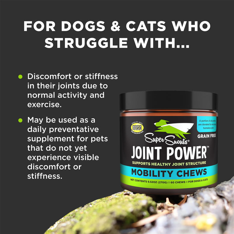 Super Snouts Joint Power – 60 Soft Chews – Joint Supplement for Dogs and Cats with Green Lipped Mussel Helps Ease Discomfort & Stiffness– Made in The USA - PawsPlanet Australia