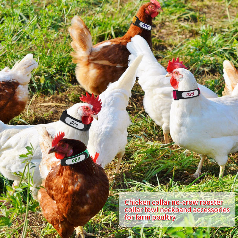 Shappy 48 Pieces Large Rooster Collar Crow Collar with Blank Label Anti Crow Noise Neck Belt Nylon Rooster Collar for Roosters Cockerel, Prevent Chicken from Screaming or Disturbing Neighbors
