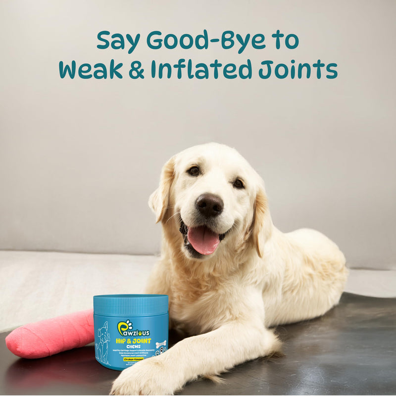 Joint Supplements for Dogs - Dog Hip and Joint Care Chews with Glucosamine, Chondroitin, Green Lipped, Omega-3, Turmeric and MSM for Arthritis, Chicken Flavor (100 Count)