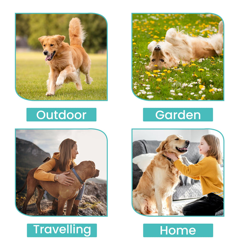 Dog Washing Gloves Pet Grooming Gloves – 10-Pack Pet Cleaning Gloves for Dogs – Natural Plant Fiber Dog Cleaning Wipes for Body, Ears, Tear Stain Wipes – Ideal for Travel, Outdoors - BeesActive Australia