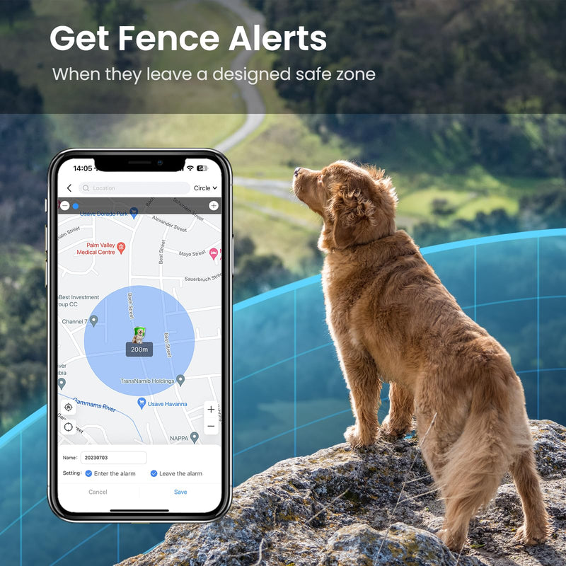 P1 GPS Dog Cat(6.5 lbs+) Tracker - Pet GPS Location Tracker for Anti Lost No Distance Limited, Waterproof, Real Time Tracking & Smart Activity, Fit All Pet Collars, Blue - BeesActive Australia