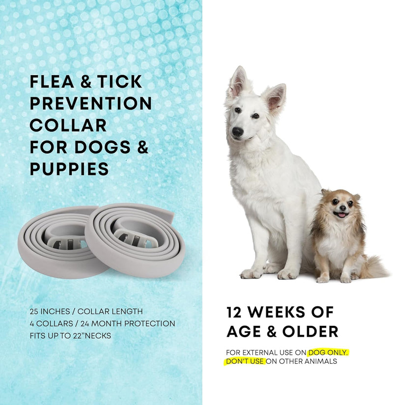 Dog Flea Tick Prevention Collar: Effective Flea Collar and Prevention for Dogs - Safe Dog Ticks Fleas Collars - Reliable Tick Flea Collars for Dogs - 24 Month Protection 4-Pack… 4 Pack - BeesActive Australia