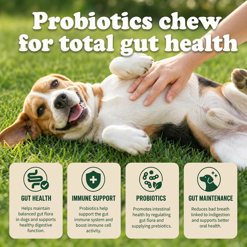 Probiotics for Dogs - with Prebiotics & Digestive Enzymes, Support Gut Digestive Health, Relief Occasional Diarrhea, Bloating & Constipation - Canine Gut Health Supplements 120 Chews(Chicken)
