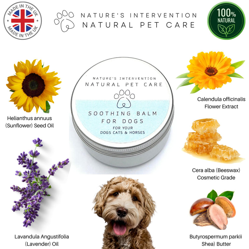 NATURE'S INTERVENTION 100% Natural Soothing Balm for Dogs – 50ml – Beeswax, Shea & Lavender – Protective Paw, Nose & Skin Butter – Lick-Safe & Non-Toxic