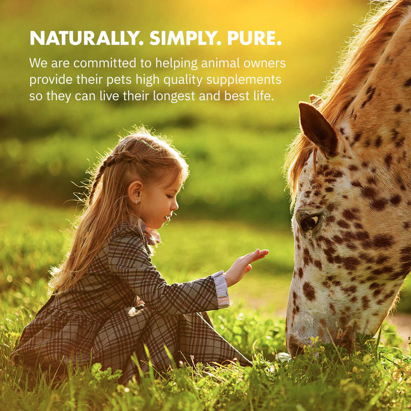 HealthyGut™ Probiotics for Horses Dietary Supplement, All-Natural Digestive System Maintenance Formula (30 Days) 30 Servings (Pack of 1) - BeesActive Australia