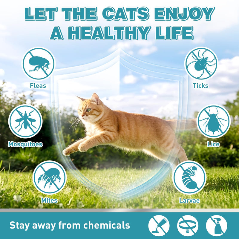 Natural Cat Care Drops Cat Health Supplement Drops Skin Itch Relief Shiny Coat with Omega-3 & Chicken Flavor Suitable for All Breeds of Cats 2 Fl Oz 2 Pack
