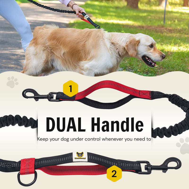 Hundefreund Hands-Free Dog Leash for Medium and Large Dogs (30-150 lbs) – Shock Absorbing Bungee Running Leash with Waist Belt, Dual Handle, Reflective Design for Training, Hiking & Walking (Red) - BeesActive Australia