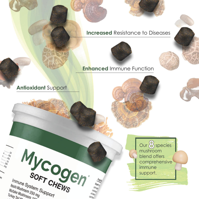 Mycogen Soft Chew for Dogs - 8 Species Mushroom Blend for Critical Immune System Support- Turkey Tail, Reishi, Shiitake, Cordyceps, Black Tree Fungus-120 Tasty Soft Chews 2-Pack 120 chews