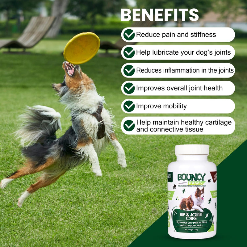Joint Supplements for Dogs - 90 Tablets Green Lipped Mussel for Dogs, Senior Dog Joint Supplements, Advanced Strength Dog Arthritis Pain Relief with Turmeric, Glucosamine and Chondroitin - Made In UK