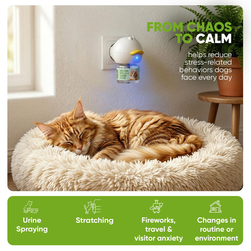 STUNICK CC1 Cat Calming Diffuser, Calming Pheromones, 60 Day Supply, 1 Diffuser and 2 Refills for Stress, Pee Spraying, Cat Fighting, Aggression, Excessive Meowing & Scratching | Odorless 1 Pack