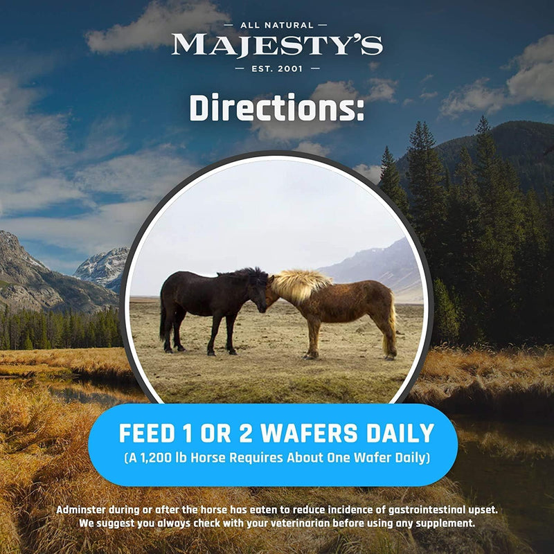 Majesty's KALM+ Wafers- Horse/Equine Balanced Behavior and Normal Nervous System Function Support Supplement - 30 Count (1 Month Supply) Apple