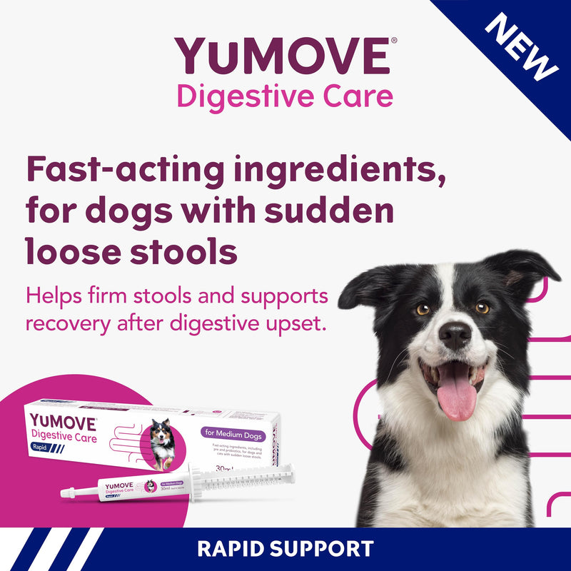 YuMOVE Digestive Care Rapid, Dog Pre and Probiotic Paste for Gut Health, Digestive Supplements with Fast-Acting Ingredients for Medium Dogs, 30ml Medium Dog Single