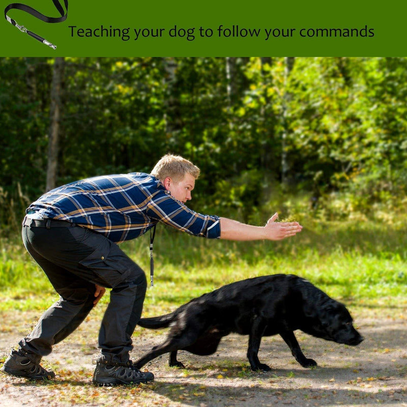 Dog Whistle to Stop Barking, Adjustable Pitch Ultrasonic Training Tool Silent Bark Control for Dogs- Pack of 1 PCS Whistles Black - BeesActive Australia