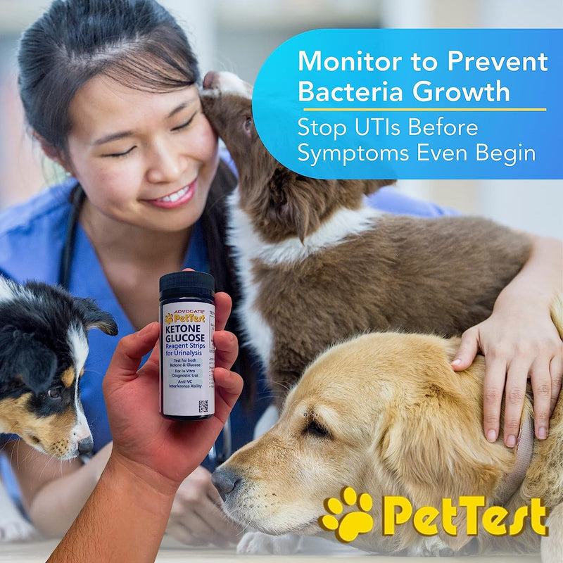 Pet Urine Test Strips Ketone Glucose Strips for Dogs and Cats Urinalysis (50 Strips) Monitoring and Avoid UTI by Advocate Pettest - BeesActive Australia
