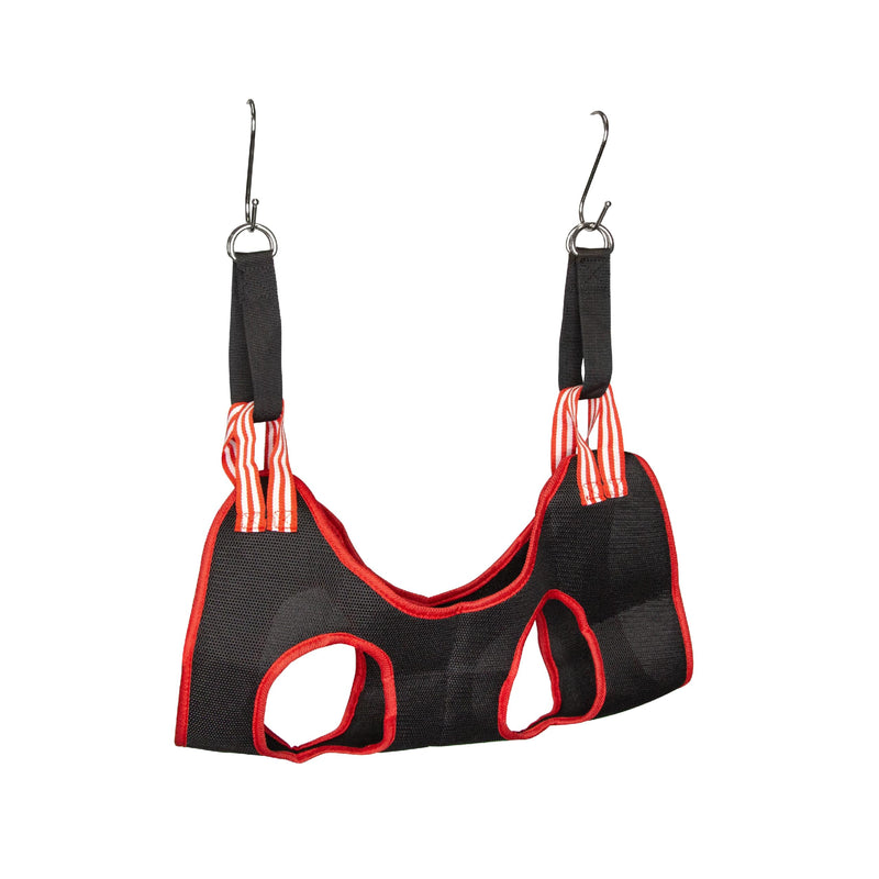 PFOTENKRAFT pet hammock for grooming - including grooming tools | Hammock Harness Dogs & Cats Nail Care | Pet grooming with claw trimmer, nail clippers, nail file (L) L - BeesActive Australia