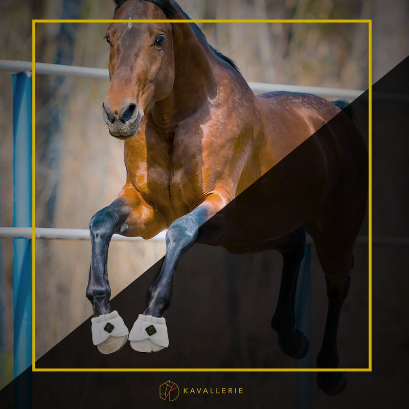 Kavallerie PRO-K Soft No Turn Bell Boots Ultimate Hoof Protection, with Anti-Spin Fastening System, Durable & Prevents Overreaching Black XXL - BeesActive Australia