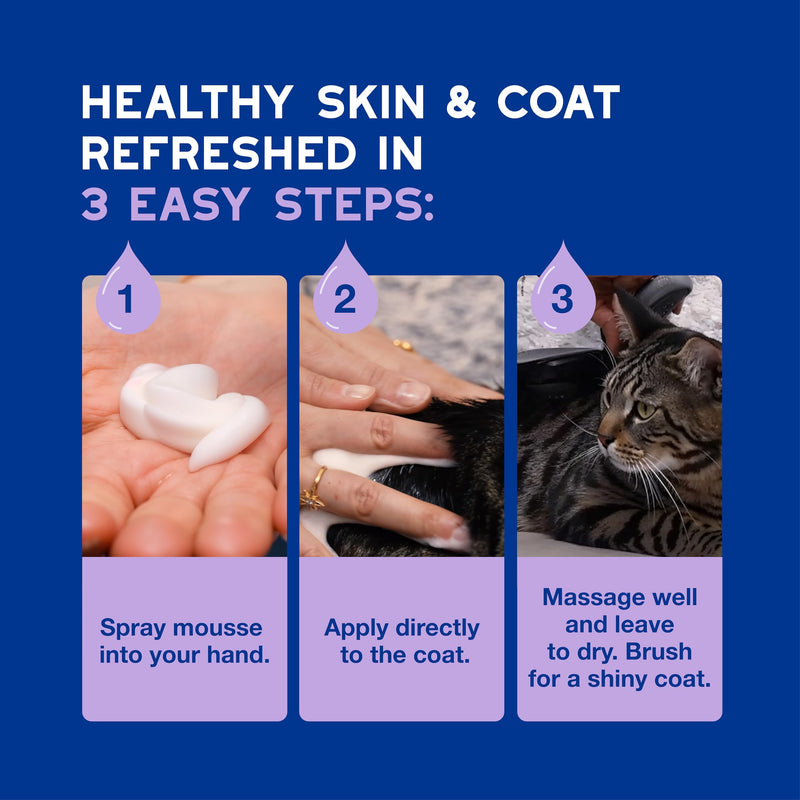 Douxo Spa Low-Stress Refresh Leave-on Mousse for Cats, 150 ml, Safely Cleans and Refreshes the Fur, Leaves the Coat Soft, Radiant and Smelling Great, pH Balanced, Hypoallergenic, Skin-Friendly Formula