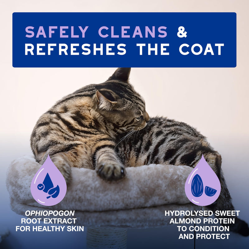 Douxo Spa Low-Stress Refresh Leave-on Mousse for Cats, 150 ml, Safely Cleans and Refreshes the Fur, Leaves the Coat Soft, Radiant and Smelling Great, pH Balanced, Hypoallergenic, Skin-Friendly Formula