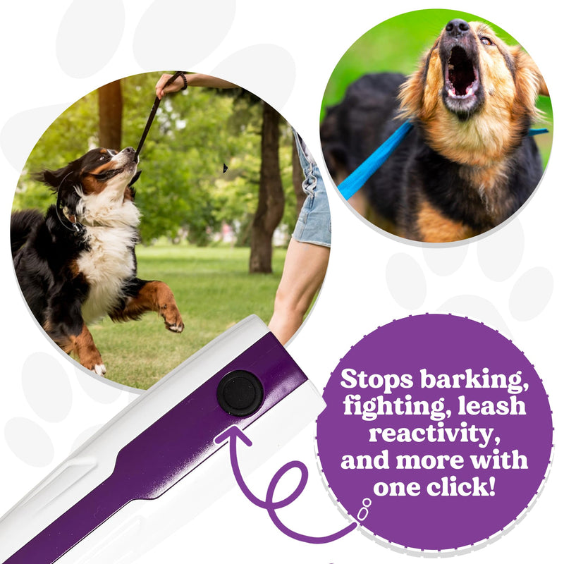 Doggie Don’t Anti Barking Device for Dogs - No Shock Bark Control & Dog Bark Deterrent - Humane Audible Dog Training Tool for Reactive Dogs, Stop Barking, Jumping & Leash Aggression - Rechargeable Purple, Rechargeable Battery