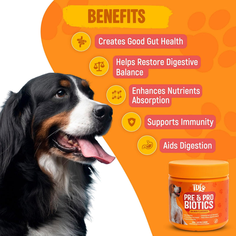 Dog Probiotic Supplements for Gut Health – 120 Soft Probiotic Chews for Dogs – Daily Canine Probiotics & Prebiotics to Support Digestion, Immunity & Sensitive Stomachs – Salmon Flavour Treats