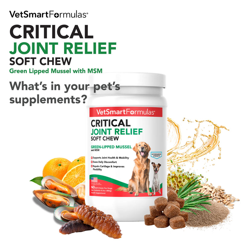 VetSmart Formulas Critical Joint Relief Soft Chew for Dogs – Hip & Joint Supplement with Glucosamine, MSM, Green-Lipped Mussel – Joint Discomfort, Hip Dysplasia & Mobility Support, Made in USA Soft Chews 60 Soft Chews
