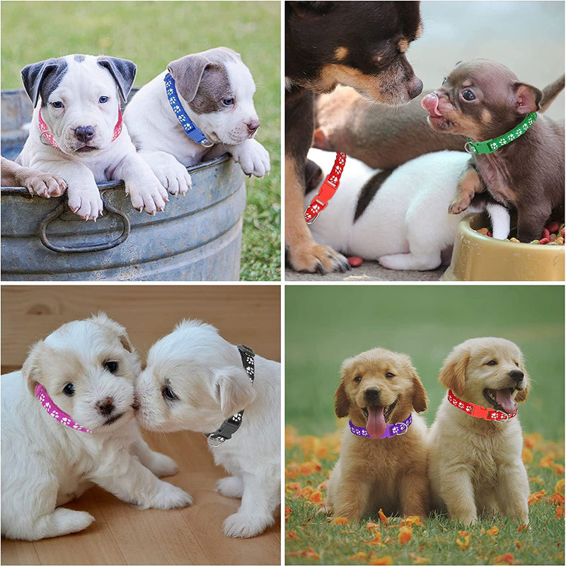 12 Pack Puppy Collars for Litter, Adjustable Puppy ID Collars Soft Nylon Whelping Collars for Newborn Litter Puppy Pets S - BeesActive Australia
